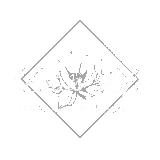 Lotus Life Massage The Hague