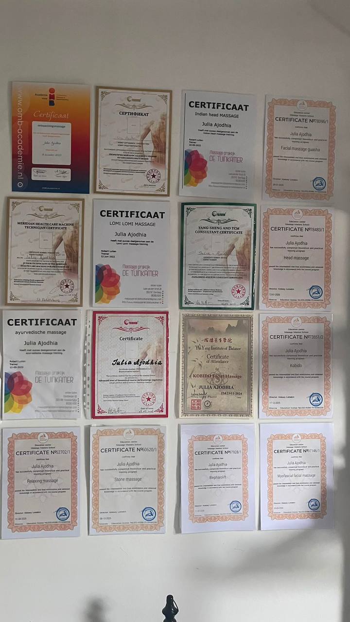 Certificaten Julia Ajodhia